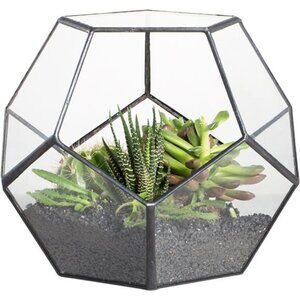 NCYP Small Plants Terrarium Planter - 5.9 Inches Pentagon Geometric Glass
